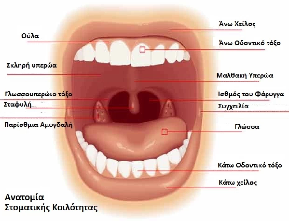 Διαβούλευση για την ανάπτυξη κέντρου πρόληψης, διάγνωσης και θεραπείας στοματικού καρκίνου
