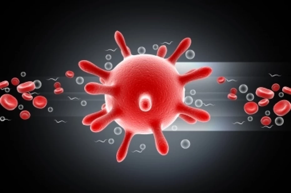 Ευρεία σύσκεψη για την αντιμετώπιση της γρίπης (ιός Η1Ν1)